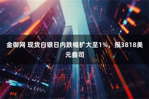 金御网 现货白银日内跌幅扩大至1%，报3818美元盎司