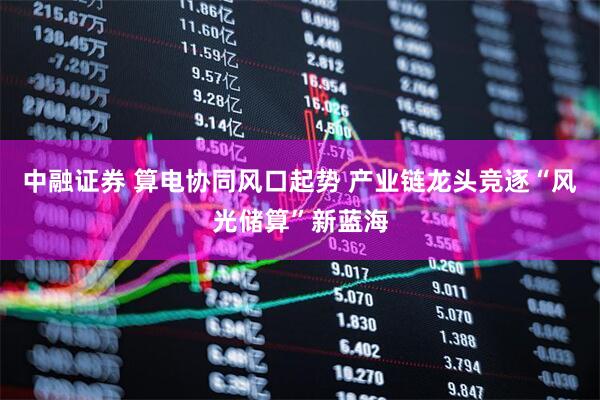 中融证券 算电协同风口起势 产业链龙头竞逐“风光储算”新蓝海
