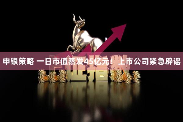 申银策略 一日市值蒸发45亿元！上市公司紧急辟谣