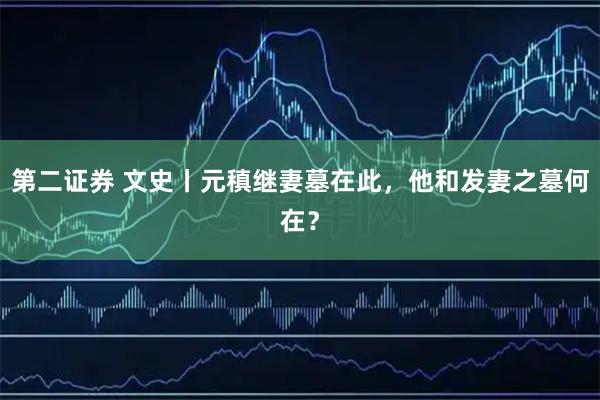 第二证券 文史丨元稹继妻墓在此，他和发妻之墓何在？